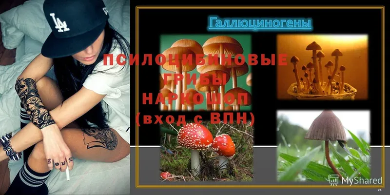 Галлюциногенные грибы MAGIC MUSHROOMS  Кстово 